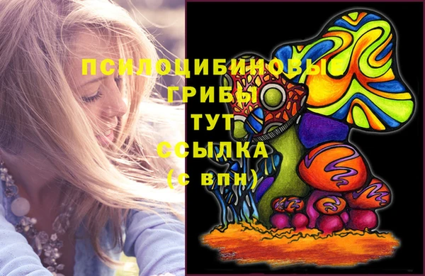 наркотики Абаза